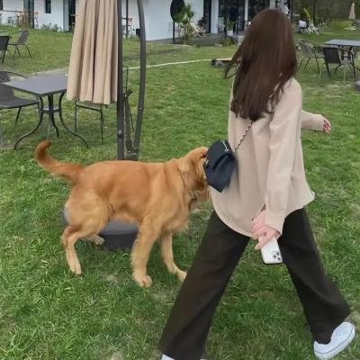 罪恶黑名单第六季